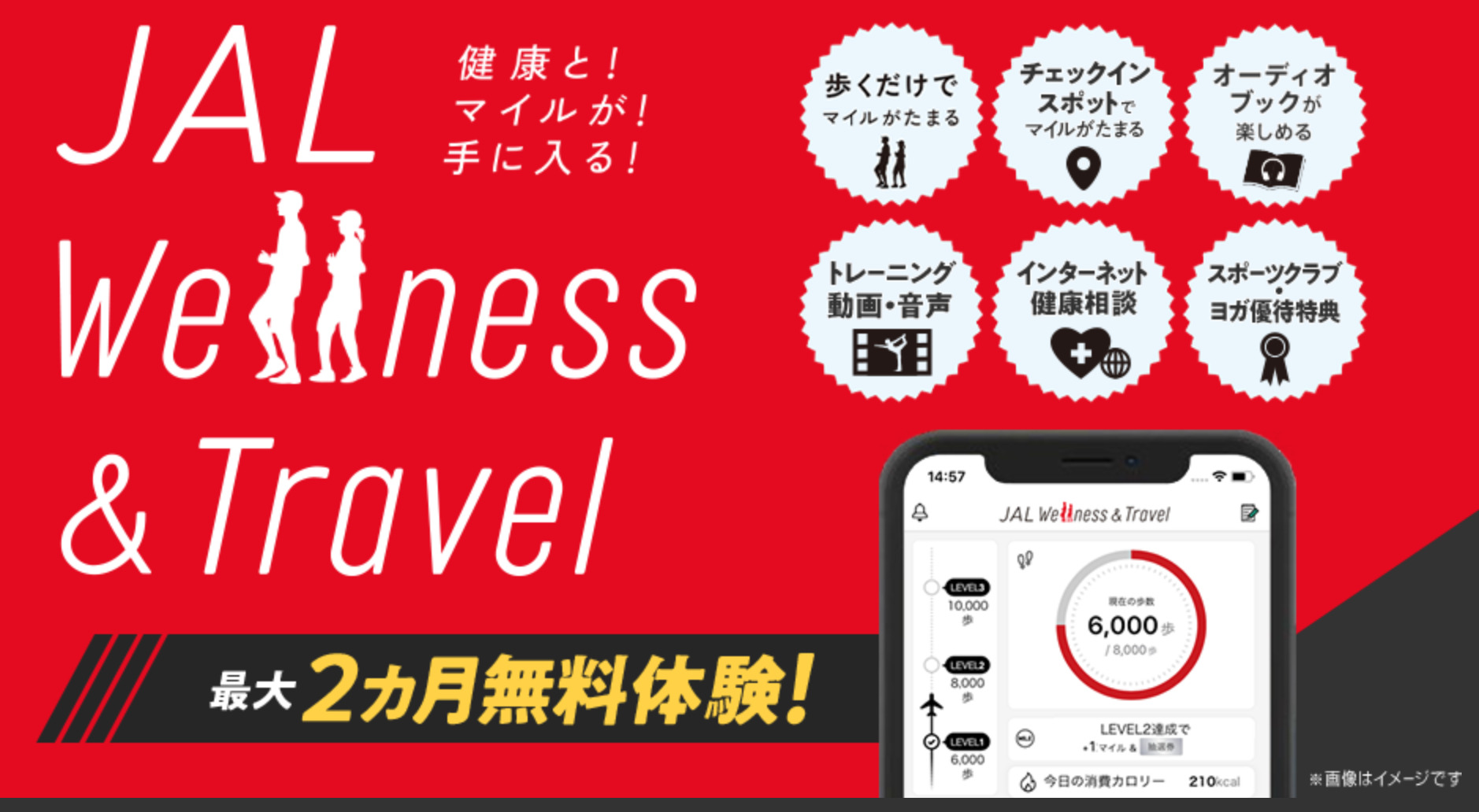 JAL Wellness & Travelアプリでマイルを貯めよう！1ヶ月で何マイル貯まるか検証してみました！